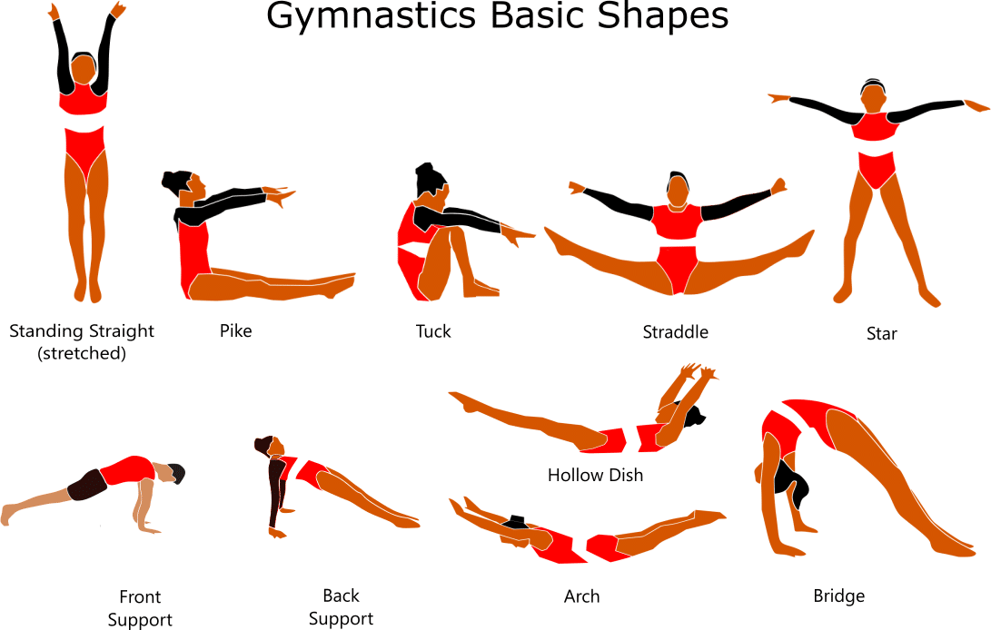 10 Essential Gymnastics Skills for Beginners to Master 10 Essential Gymnastics Skills for Beginners to Master